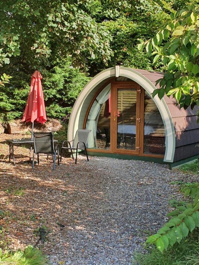 Camping Priory Glamping Pods And Guest Killarney