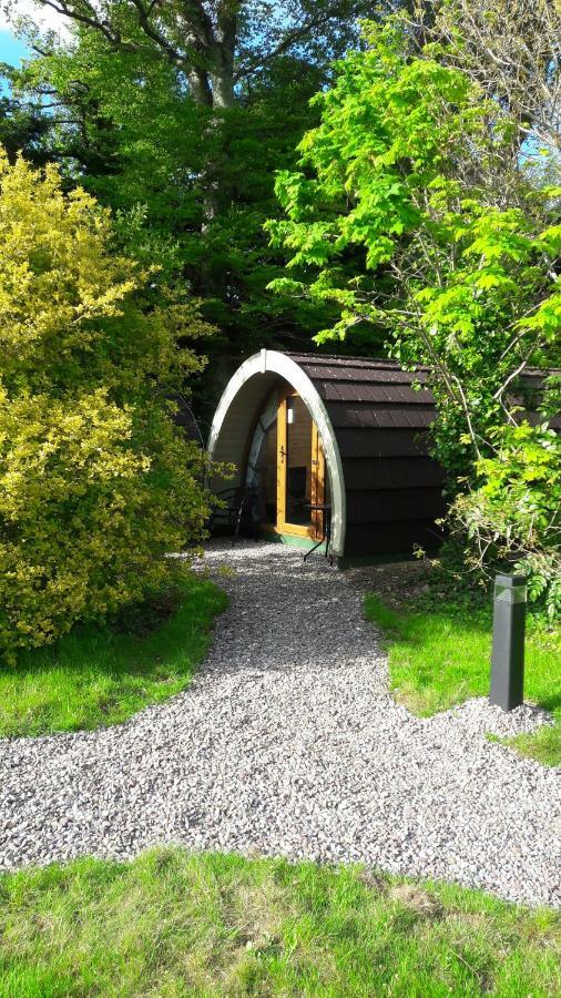 Camping Priory Glamping Pods And Guest *