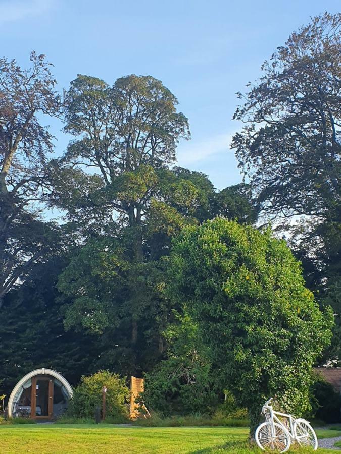 Camping Priory Glamping Pods And Guest