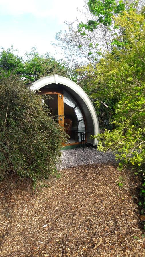 Priory Glamping Pods And Guest Camping Killarney